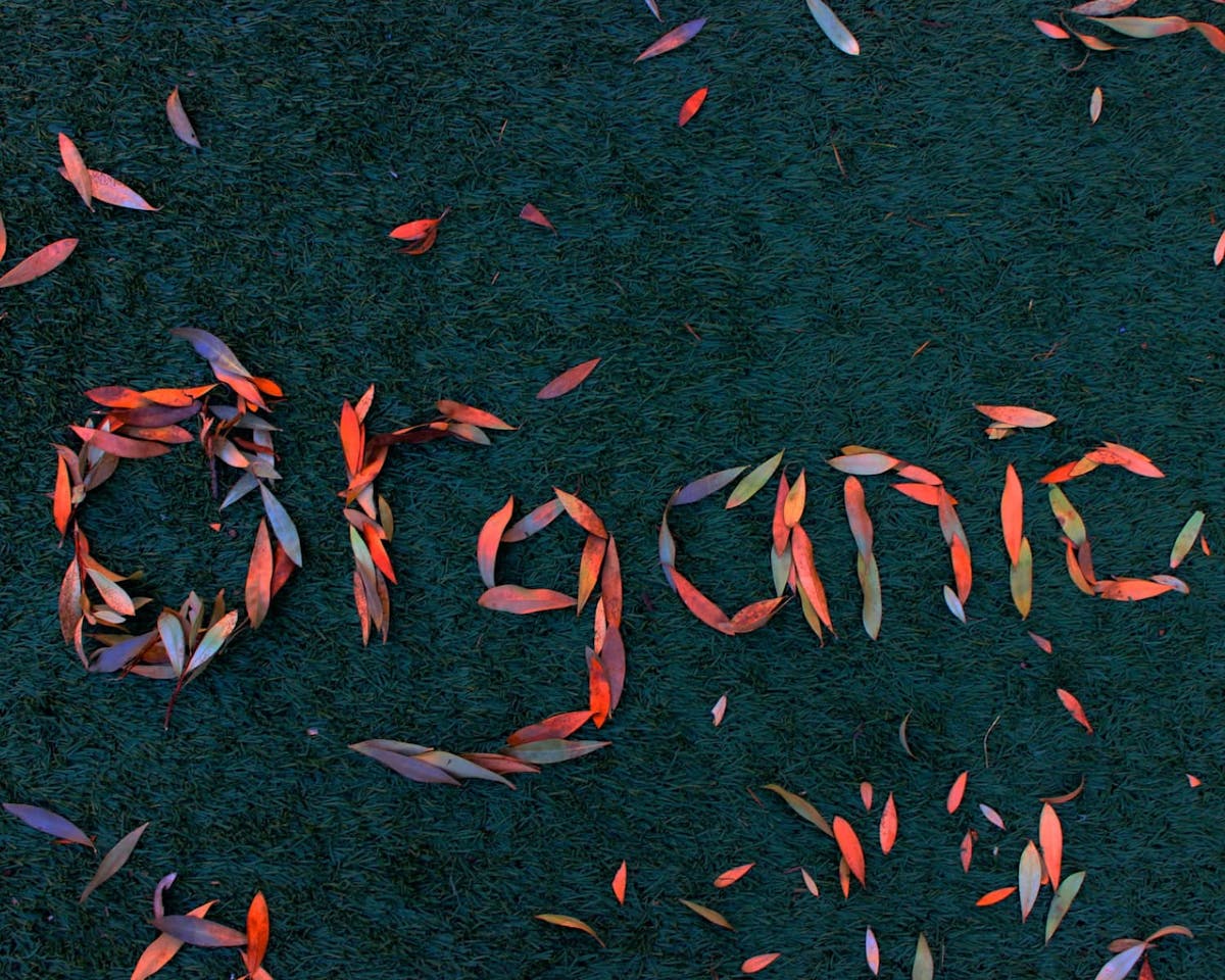 The Best Organic Coffee Brands: How To Choose