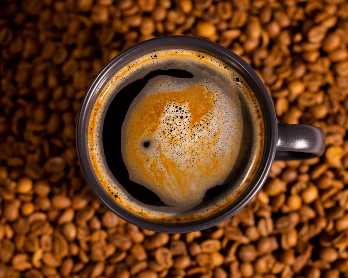 Arabica Coffee: Why It’s So Revered by Coffee Lovers
