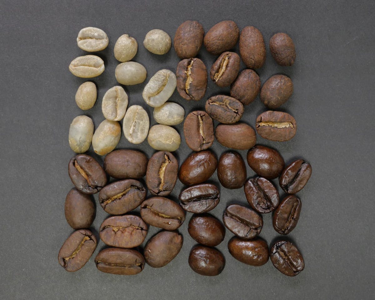 How Many Types of Coffee Beans Are There? In Reality, Only 4