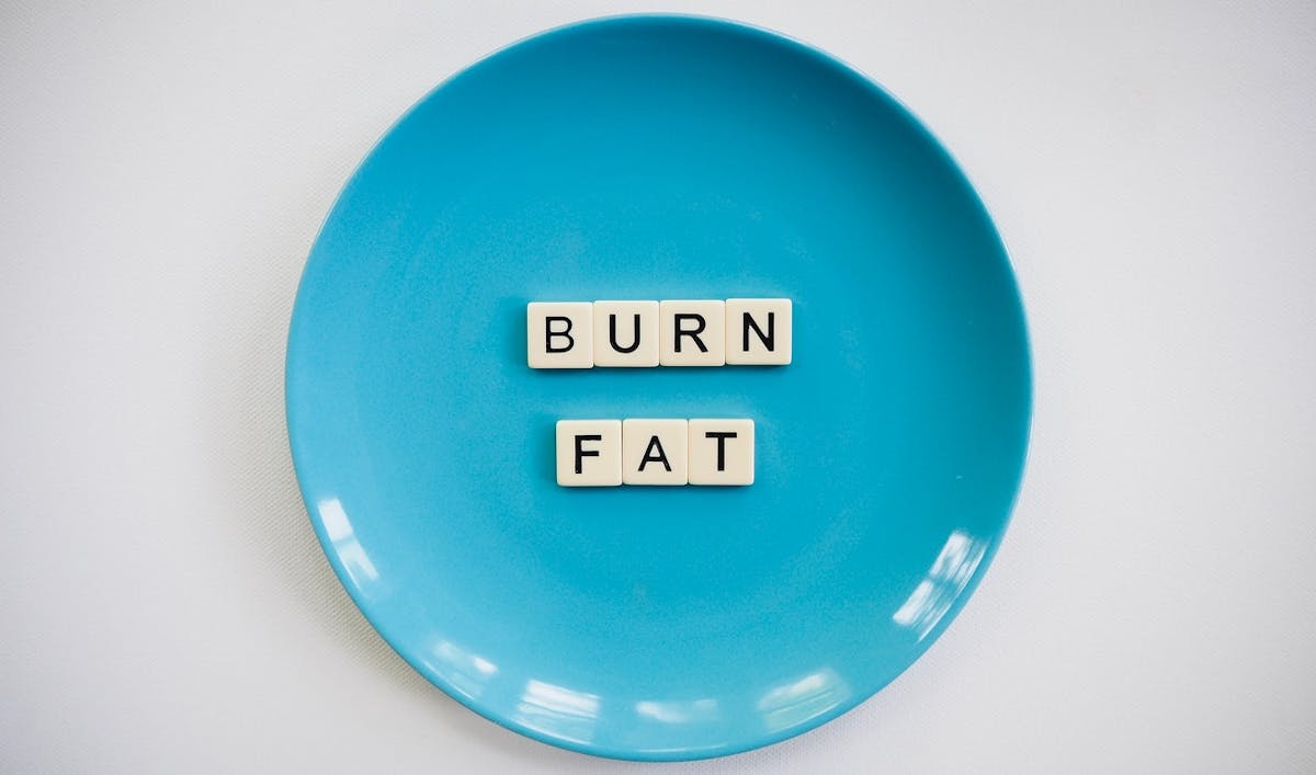 Low Carb vs. Keto Dieting: Pros, Cons & Choosing One